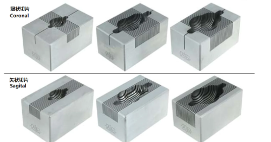 腦模具300-600G大鼠，冠狀，1MM